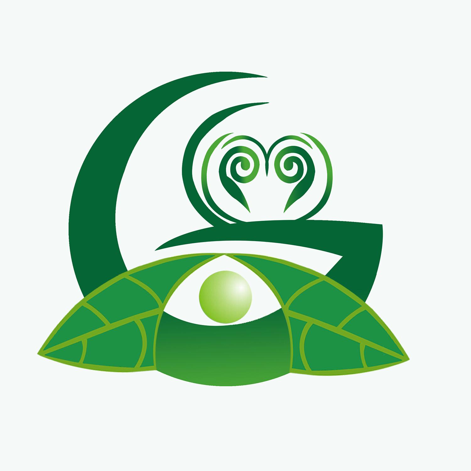 图形