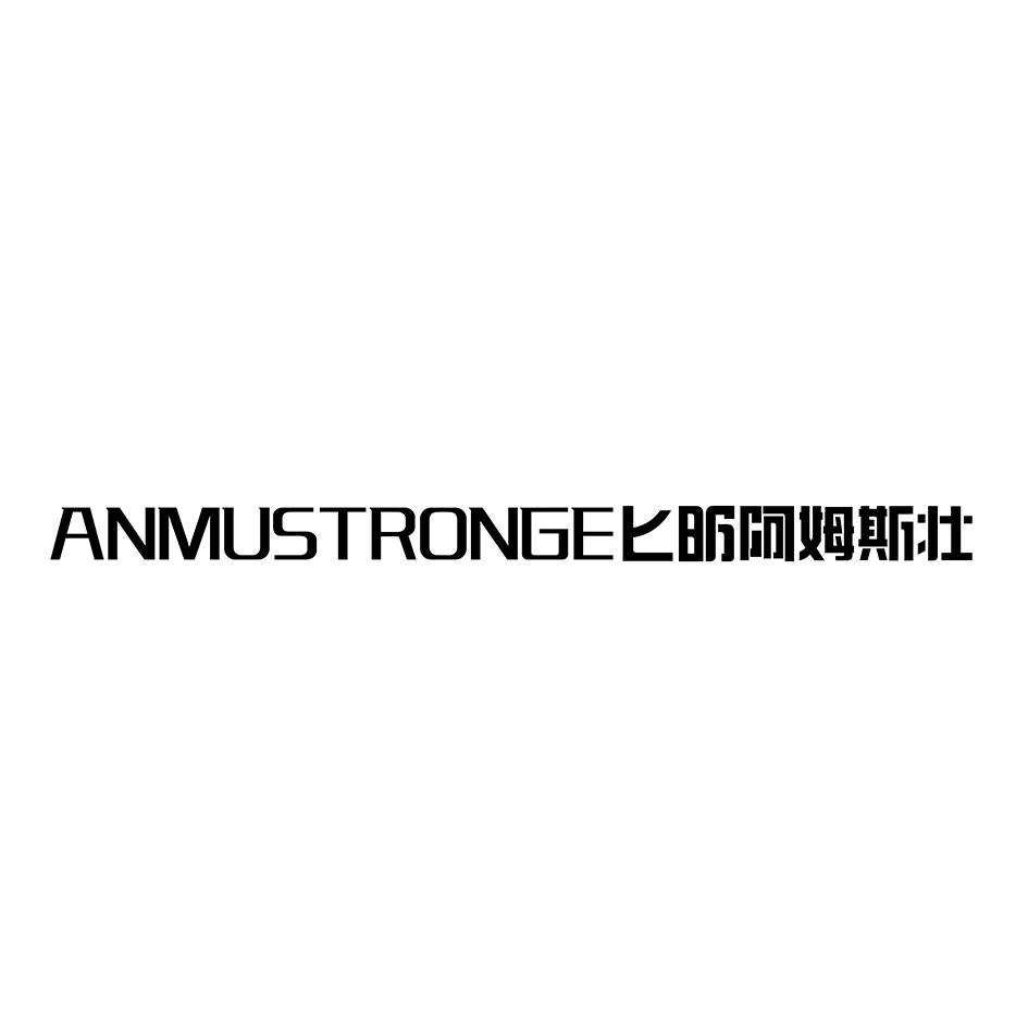 ANMUSTRONGE 匕昕阿姆斯壮