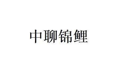 中聊锦鲤